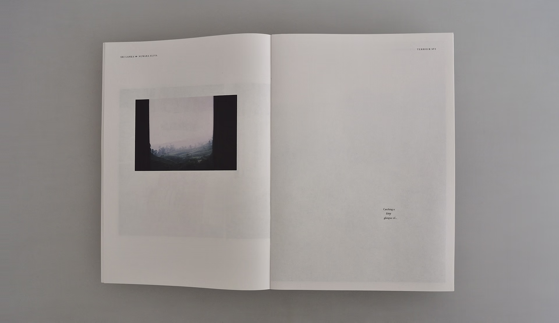 Studio Plough - Creative Experiments, Terroir Magazine 04