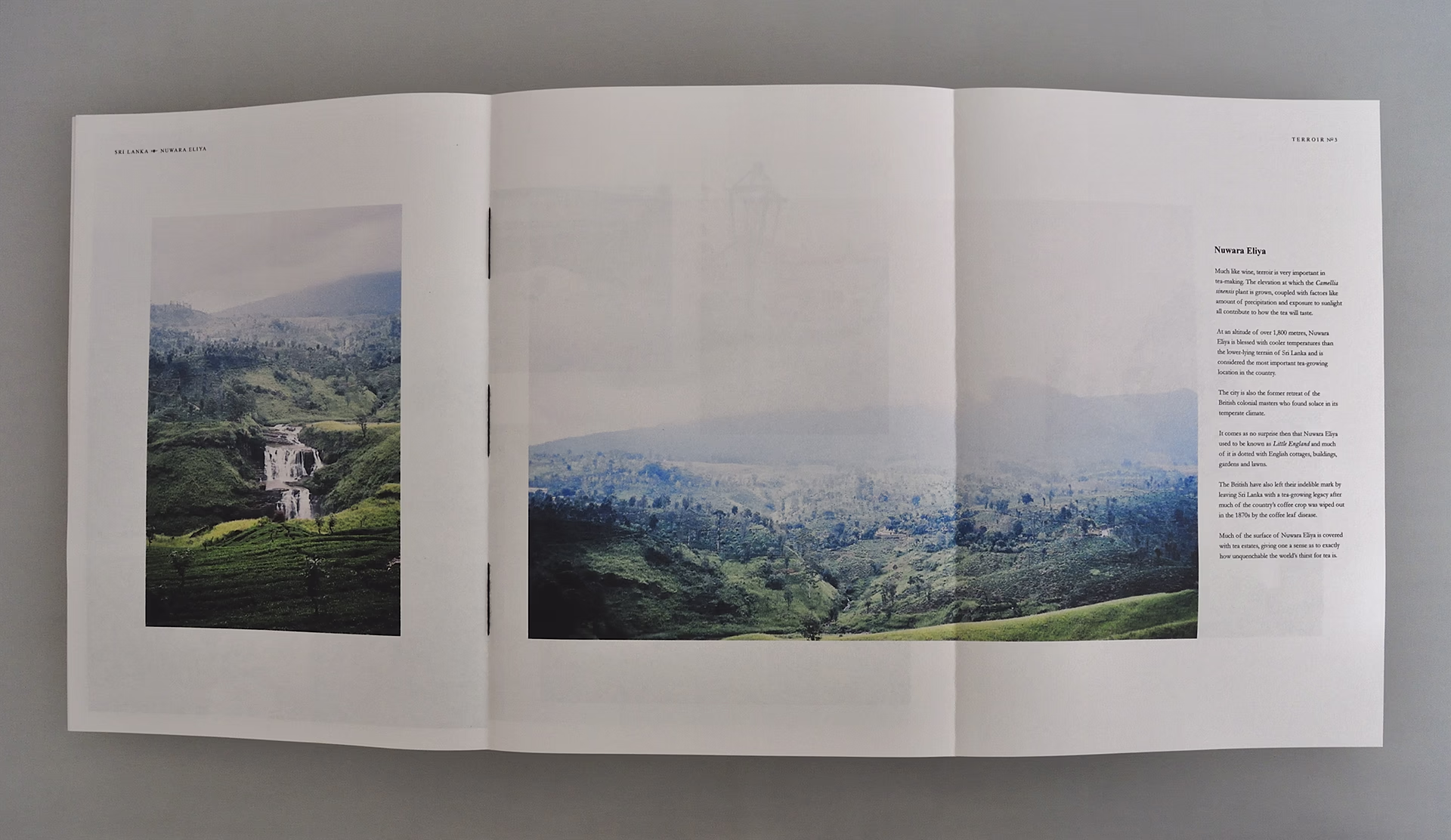 Studio Plough - Creative Experiments, Terroir Magazine 06