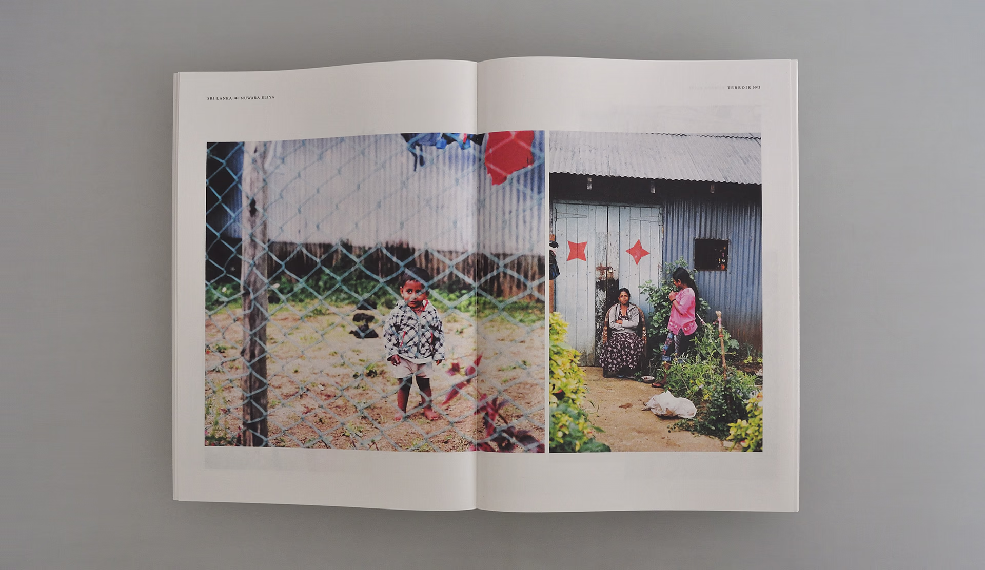 Studio Plough - Creative Experiments, Terroir Magazine 11